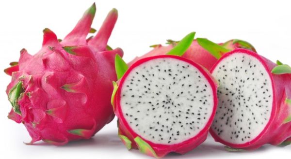 Pitaia - propriedades curativas e várias formas de consumir - greenMe