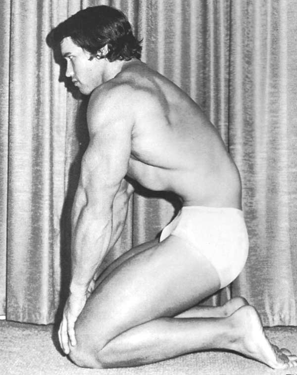 Schwarzenegger, A. (1992) Bodybuilding Encyclopedia.