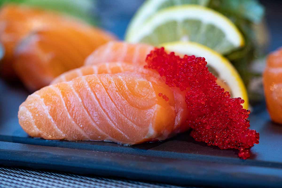 A sushi mania está acabando com os ecossistemas marinhos