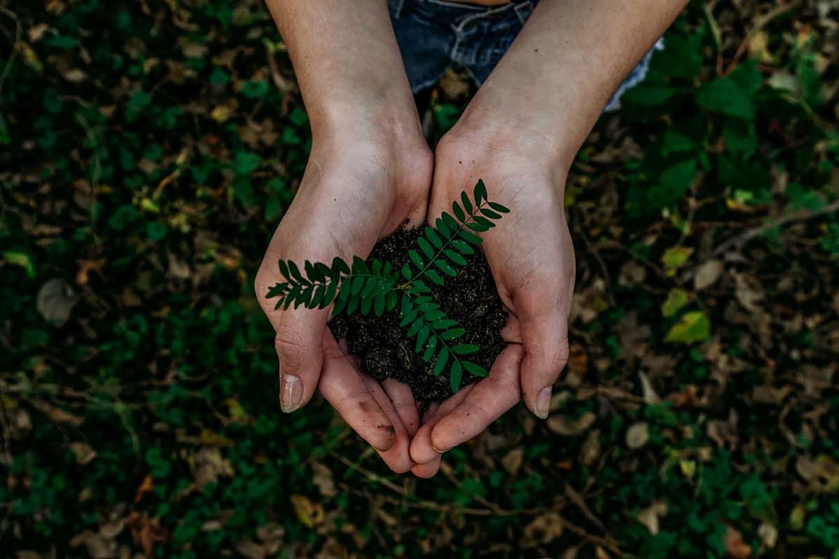Práticas simples que podem reduzir seu impacto ambiental dentro de casa e ainda economizar dinheiro