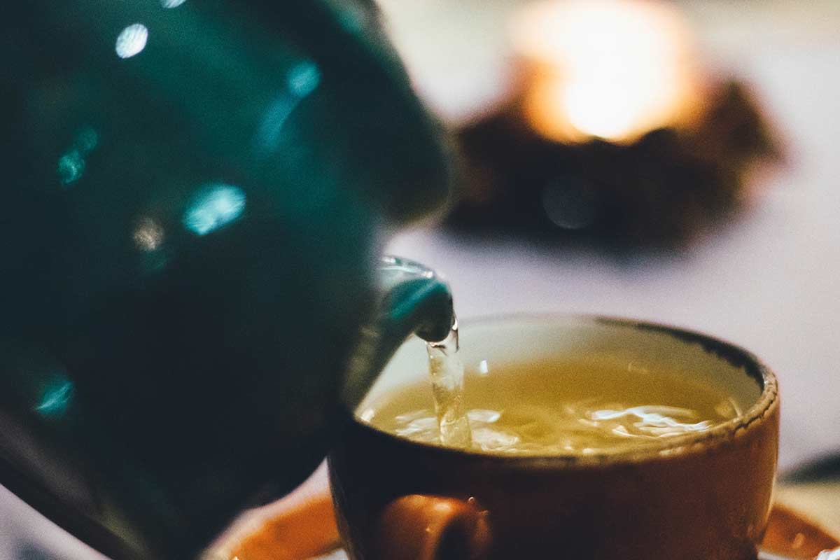 Como preparar chá de boldo: benefícios e receitas