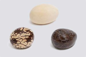 Sêmona de Tagua Natural