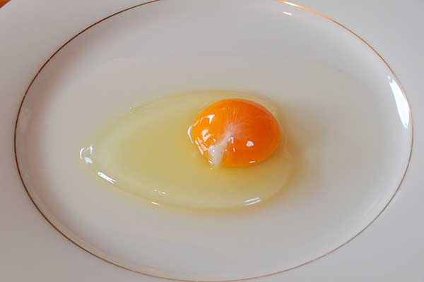 Chalaza (umbigo) de ovo