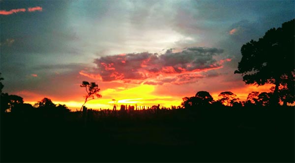 Paisagem Bodoquena