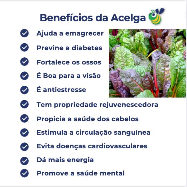 Lista de benefícios da Acelga