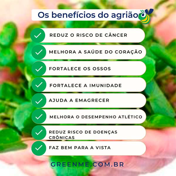 benefícios do agrião