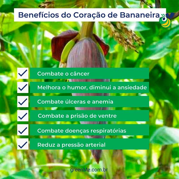 Resumo: benefícios do coração de bananeira