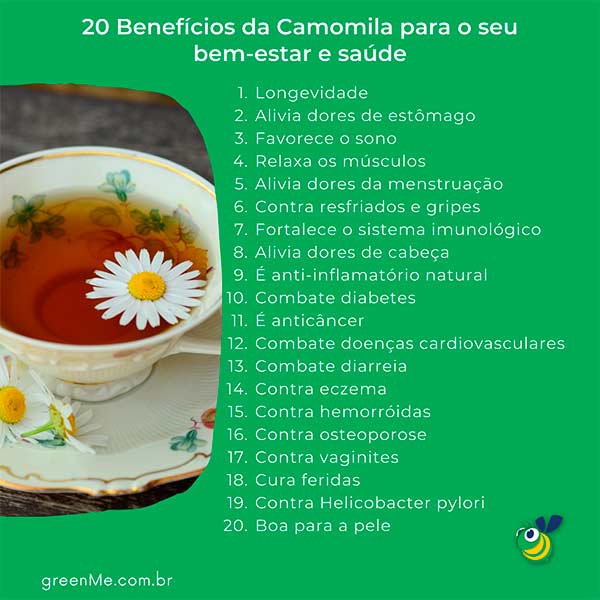 20 Benefícios da camomila comprovados cientificamente