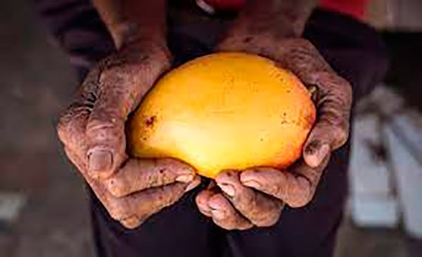 Imagem do documentário Frutas Doces, Vidas Amargas