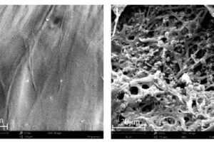 © Samat et al., npj Materials Degradation, 2023